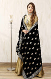 FARIBA (BLACK CHARMING)