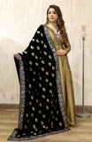 FARIBA (BLACK CHARMING)