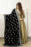 FARIBA (BLACK CHARMING)